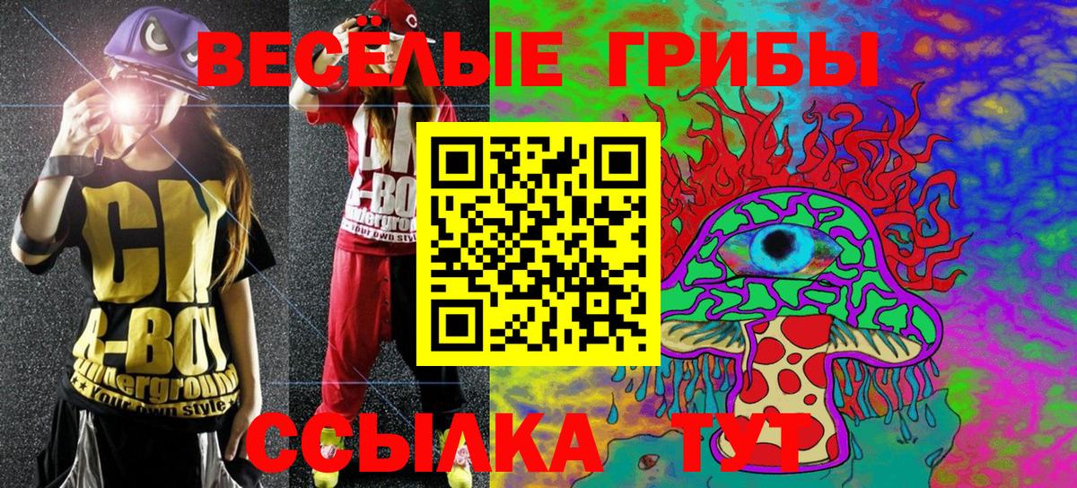 Галлюциногенные грибы мухоморы  Галлюциногенные грибы Cubensis  Сланцы  Вход с VPN 